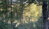 Randonnée Marche Val-d'Aigoual - PLO de VALBELLE  - Photo 9