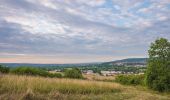 Trail On foot Baunach - Greifvogel-Wanderweg Baunach - Photo 1