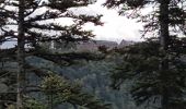 Tocht Stappen Ottrott - Mont St Odile - Mur Païen - Grotte des Druides - Sentier des Merveilles - Photo 16