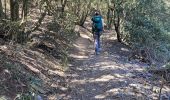 Tour Wandern La Seyne-sur-Mer - Cap Sicié et Notre Dame du mai - Photo 5