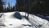 Excursión Raquetas de nieve Manigod - La Croix Colomban - Photo 6