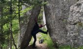 Percorso Marcia Villard-de-Lans - La moliere - col d'herbouilly - pot du loup - crête - Photo 8