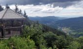 Trail Walking Sainte-Marie-aux-Mines - 2020-06-20 Marche Tete du Violu Col de Ste Marie - Photo 5