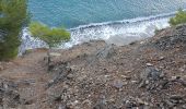 Tour Pfad La Seyne-sur-Mer - fabregas, sémaphore du cap Sicié. sentier du littoral  - Photo 2