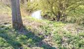 Trail Walking Braine-le-Comte - A sauts de biefs sur l'ancien canal Bxl-Charleroi - Photo 3