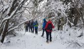 Tour Schneeschuhwandern Fraroz - rando raquette haut joux - Photo 1