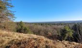 Tour Zu Fuß Fontainebleau - Boucle 28 km en forêt de Fontainebleau  - Photo 11