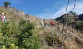 Tocht Stappen La Garde-Freinet - Fort Freinet et les roches blanches - Photo 7