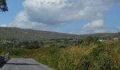 Tocht Te voet West Cork - Seefin Loop - Photo 2