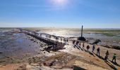 Excursión Senderismo Barbâtre - Jeun et Rando J5 - Passage du gois et réserve naturelle - Photo 5