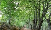 Tocht Stappen Olne - Olne - Cornesse - Wegnez -Soiron - Photo 10