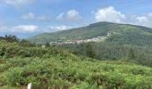 Trail Walking Urrugne - Urrugne - sur les pas de la Betizu  - Photo 3
