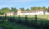 Randonnée Marche Chevreuse - Rumba à Chevreuse - Photo 4