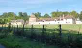 Percorso Marcia Chevreuse - Rumba à Chevreuse - Photo 4