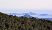 Tocht Stappen Ceyreste - Autour du Montounier 2eme version - Photo 1