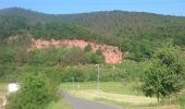 Excursión A pie Freudenberg - Rundwanderweg Bürgstadt Stutz 2: Maintal-Weg - Photo 8