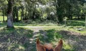 Trail Horseback riding Chainaz-les-Frasses - Lachat circuit court - Photo 7