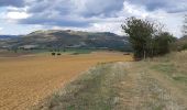 Randonnée Marche Montpeyroux - SUR LE CHEMIN DE L'ARKOSE - Photo 2