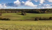 Randonnée Marche Arcisses - Coudreceau, les panoramas du Perche Eurélien 9,4 km - Photo 6