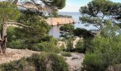 Tocht Stappen Cassis - La fenêtre-Cassis-17-11-21 - Photo 13