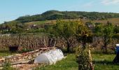 Tocht Stappen Moroges - st Benoît. - Photo 1