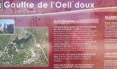 Tour Wandern Fleury - Gouffre de l'œil doux Saint Pierre la Mer - Photo 7