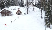 Trail On foot Forni di Sopra - IT-346 - Photo 2