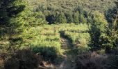 Trail Trail Arfons - raf ballade - Photo 1