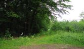 Tocht Stappen Rethondes - en forêt de Laigue_4_08_2019_Mont du Fouilleux_Mont des Singes_Marais de Francière - Photo 2