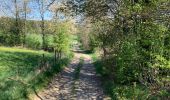 Randonnée Randonnée équestre Neufchâteau - Cousteumont Ospau - Photo 4