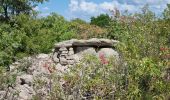 Tocht Stappen Saint-Paul-le-Jeune - Sentier des dolmens - Photo 9