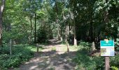 Trail Walking Kalmthout - Heide 24,2 km - Photo 9