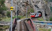 Randonnée A pied Martigny - Géoglyphe de Grande Tête - Photo 8