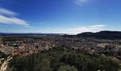 Excursión Senderismo La Crau - Chapelle du Fenouillet & Château de Hyères - Photo 7