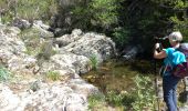 Excursión Senderismo Collobrières - la chartreuse de la Verne par les vasques de Boulin - Photo 12