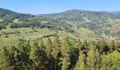 Tour Wandern Schnierlach - La tour du Faudé - Photo 5