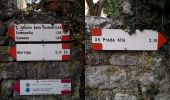 Tocht Te voet Brenzone sul Garda - Marniga - Prada Alta - Photo 7