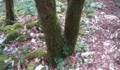 Tour Wandern Deluz - Deluz, chapelle d'Aigremont - croix de Souvance - Photo 14