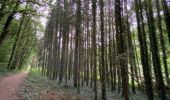 Randonnée Marche Bourscheid - Escapardenne Lee Trail: Moulin de Bourscheid - Hoscheid - Photo 17