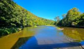 Trail Walking Bouillon - Le Sentier des Points de Vues - Bouillon - Photo 11