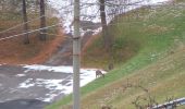 Trail On foot Pieve di Cadore - IT-343 - Photo 6