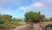 Tour Wandern Leucate - plateau de leucat sud-est sans grand route  - Photo 10