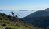 Tour Wandern Théoule-sur-Mer - Autour de Theoule - Photo 4