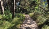 Trail Walking Plan-de-Baix - 050823 Canyon des gueulards  - Photo 4