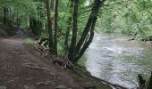 Trail Mountain bike Paliseul - vtt maissin lesse redu sechery - Photo 1