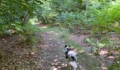 Trail Walking Chiny - Chiny version courte - Photo 6