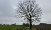 Tocht Stappen Valkenburg aan de Geul - Kerststad Valkenburg 🎅🎄✨️ - Photo 3