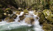 Trail Walking Saint-Vincent-de-Mercuze - Cascades de l'Alloix - Photo 13