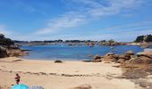 Tocht Stappen Perros-Guirec - la côte de granit rose à Ploumanach - Photo 10