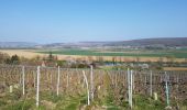 Tour Wandern Château-Thierry - D'une rive à l'autre par Azy - Photo 3